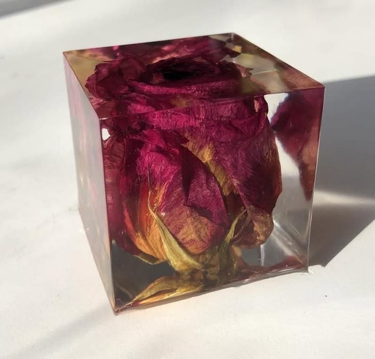 3D Resin Preserved Single Red Rose Cube Keepsake